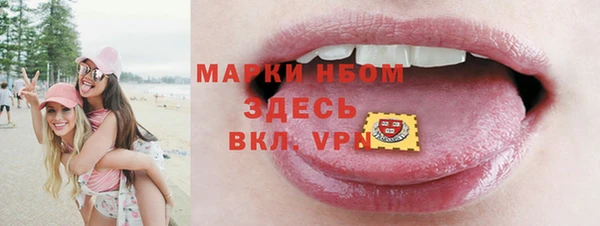 Альфа ПВП Аркадак